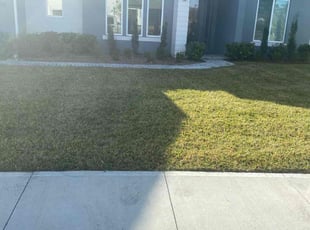 Bush Trimming by Tavares Parks for Elliot M. in Titusville, FL