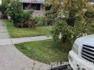Josh W.'s Yard Cutting service result