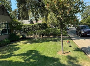 Seren O.'s Lawn Service service result