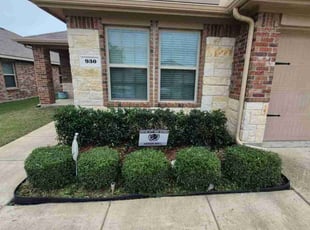 Jacqwan G.'s Bush Trimming service result