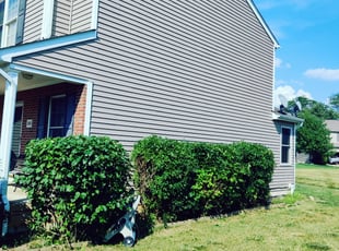 Bush Trimming by Chris Steinhour for Lynne Q. in Columbus, OH