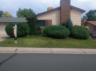 Bush Trimming by Alley Parker for Tyler D. in Centennial, CO