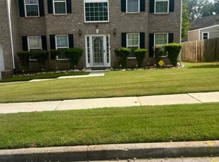 Hussein K.'s Lawn Mowing service result