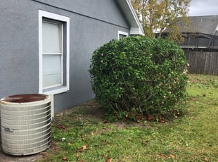 Bush Trimming by Josh Larew for Sherry W. in Orlando, FL