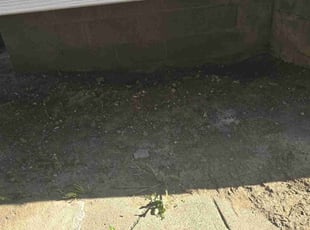 Cleanups by Dywane Clarke for Elizabeth S. in Columbus, OH