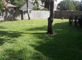 Vasila M.'s Lawn Maintenance service result