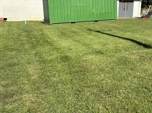 Darrell K.'s Lawn Service service result