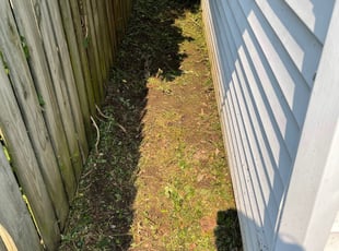 Bush Trimming by Andre Englemon for Christina E. in Cincinnati, OH