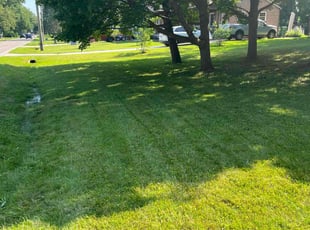 Pablo M.'s Lawn Mowing service result