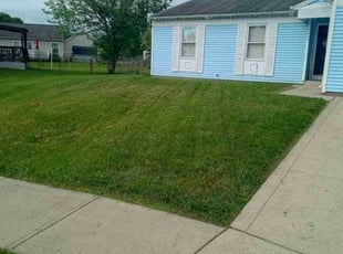 Marc S.'s Lawn Mowing service result