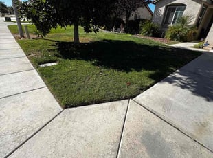 Craig S.'s Lawn Service service result