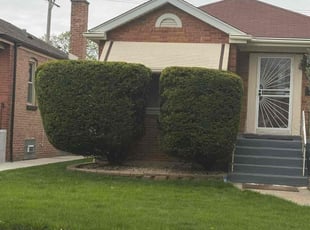 Bush Trimming by Rene Canelo for Mya (Myles) W. in Chicago, IL