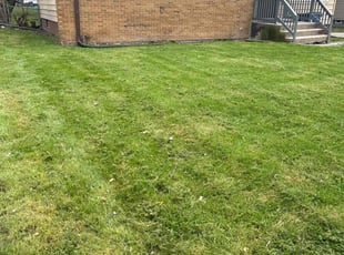 Kimmyada M.'s Lawn Mowing Service service result