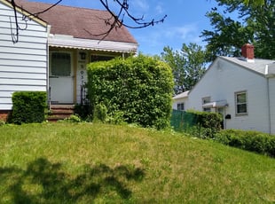 Bush Trimming by Chiquita Clark for Patrick T. in Garfield Heights, OH