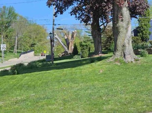 Derek S.'s Lawn Care service result