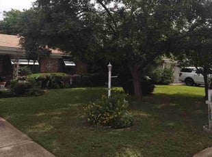 Huavai L.'s Lawn Maintenance service result
