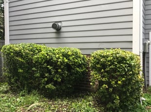 Bush Trimming by Chris Thomas for Jodi B. in Midlothian, VA