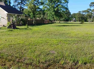 Joyce G.'s Lawn Mowing service result