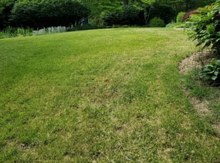 Cleanups by Stephen Griffin for Mark H. in Asheville, NC