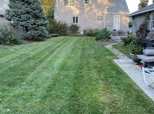 Christy O.'s Lawn Maintenance service result