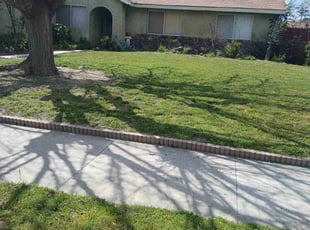 Melody W.'s Lawn Care service result