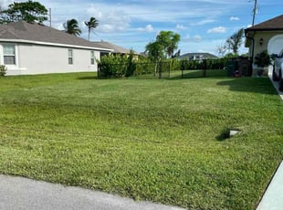 Kristina R.'s Lawn Mowing service result