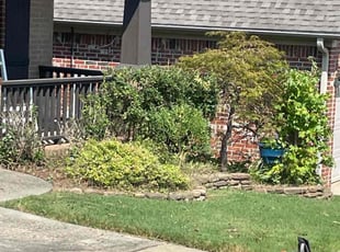 Bush Trimming by Curtis Stewart for Fnu S. in Benton, AR