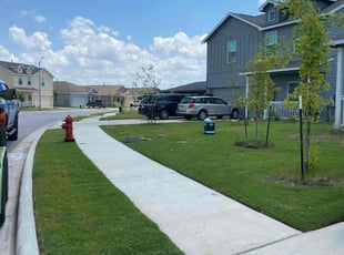 Bunny W.'s Lawn Mowing service result