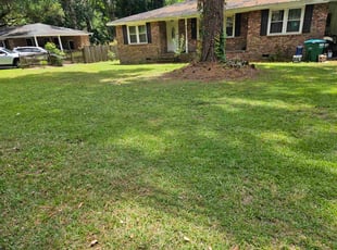 Mike R.'s Bush Trimming service result