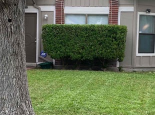 Bush Trimming by Pedro Flores for Kimberly P. in San Antonio, TX