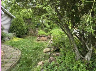 Bush Trimming by Camden Rowles for Jason L. in Asheville, NC