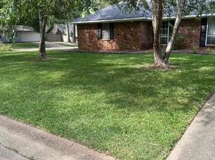 Joan H.'s Yard Cutting service result