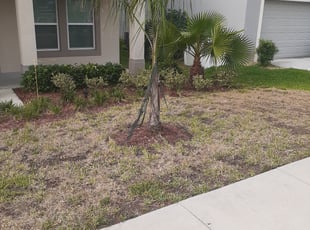 Bush Trimming by Shaun Gapp for Louie C. in Haines City, FL