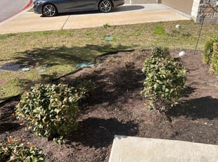 Bush Trimming by Noah Fiechtner for Ryan F. in Austin, TX