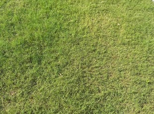 Cleanups by Patrick Stewart for Nayyar H. in Frisco, TX