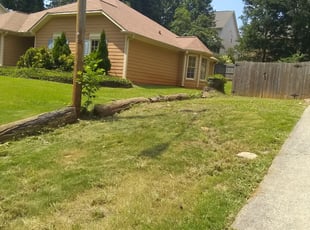 Cleanups by Charles Striedinger for Anna E. in Acworth, GA