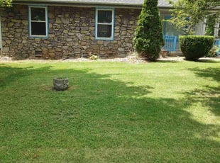 David H.'s Grass Cutting service result