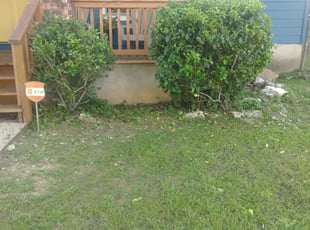 Bush Trimming by Alfred Mendieta for Evan A. in Austin, TX