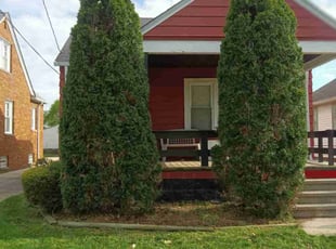 Bush Trimming by Jeremy Zanders for Laura W. in Cleveland, OH