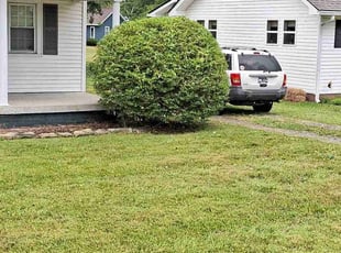 Bush Trimming by Selvin Cruz for Rita J. in Goodlettsville, TN