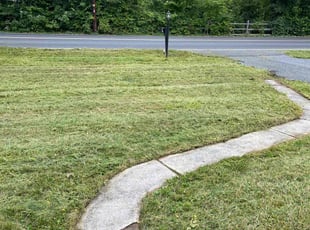 Gloria D.'s Lawn Mowing Service service result