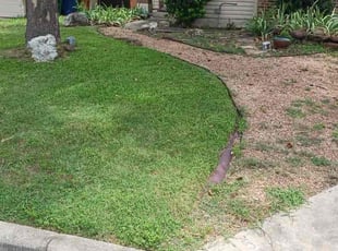 Melina B.'s Yard Cutting service result