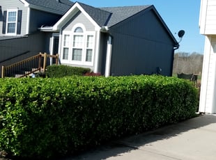 Cleanups by Jeffery Hartupee for Faith C. in Kansas City, MO