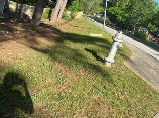 Leaf Removal by Victor Trejo for Kem O. in Smyrna, GA