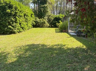 Paul K.'s Lawn Mowing service result
