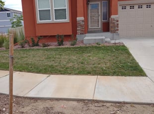 Weeding by John Smith for Bernd H. in Colorado Springs, CO