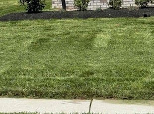 Bruce H.'s Lawn Maintenance service result