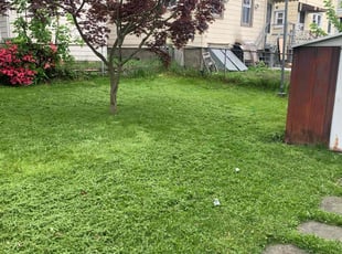 Patricia C.'s Lawn Service service result