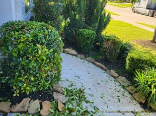 Bush Trimming by Briana Rivera for Heath C. in Richmond, TX