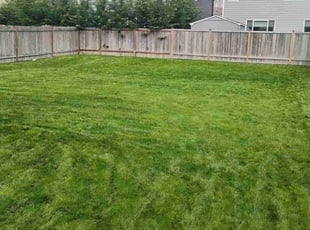 Suzanne Z.'s Lawn Mowing Service service result